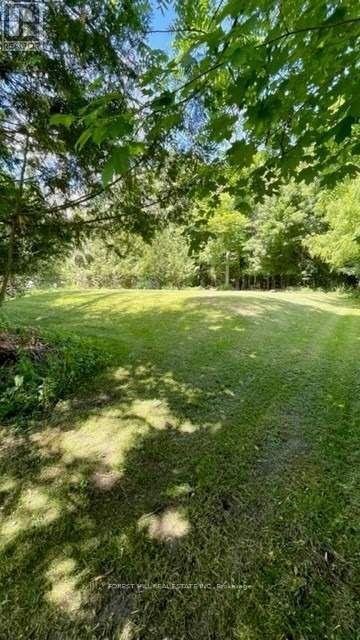 2224 Lakeshore Road E, Oro-Medonte (Hawkestone), Ontario  L0L 1T0 - Photo 25 - S12937742