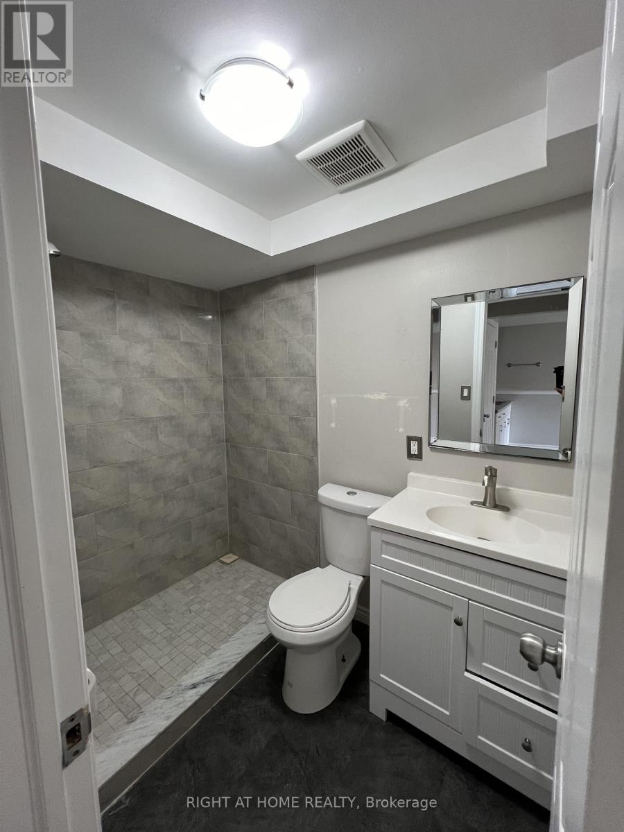 Walkout Basement - 87 Barrett Crescent, Barrie, Ontario  L4N 5A4 - Photo 8 - S12937762