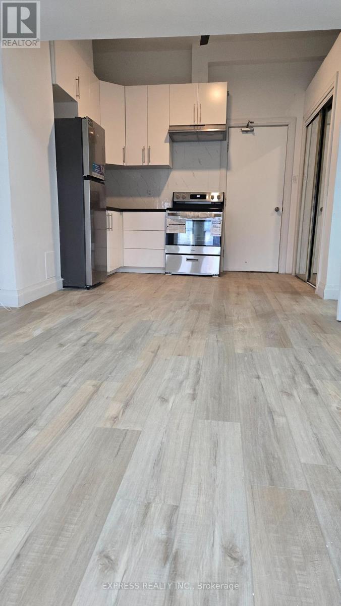 304 - 252 James Street S, Hamilton, Ontario  L8P 3B5 - Photo 8 - X12937774