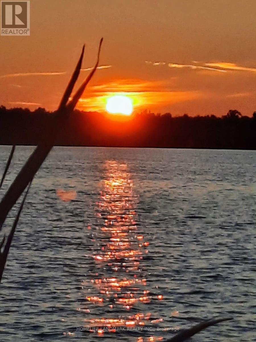 148 Coleman Crescent, Scugog, Ontario  L0B 1K0 - Photo 50 - E12932862