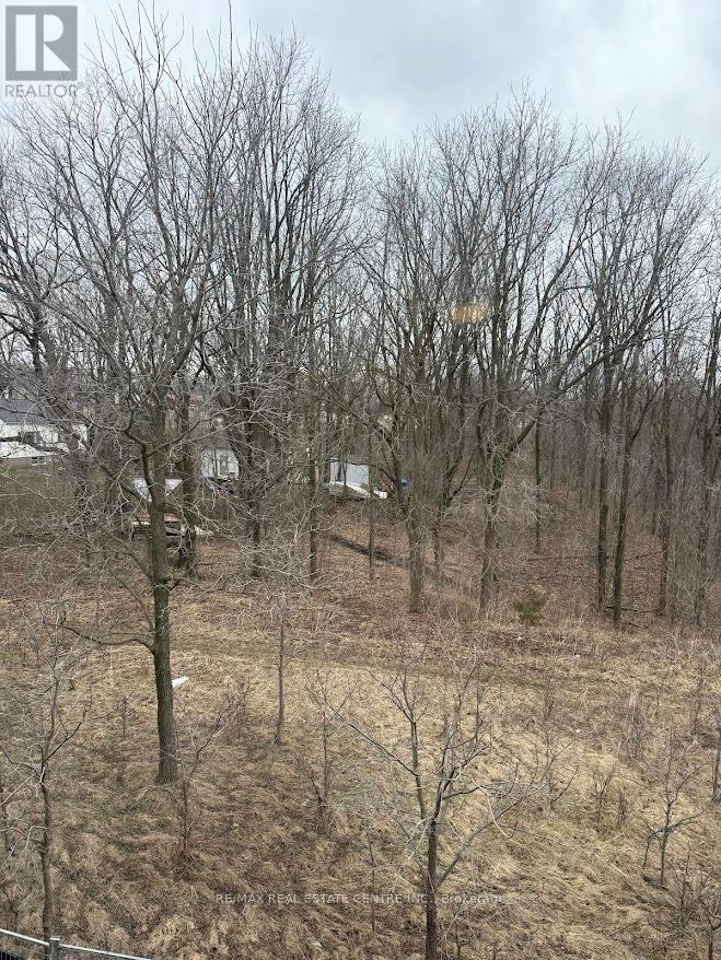 13 - 660 Colborne Street W, Brantford, Ontario  N3T 0Y7 - Photo 29 - X12937904