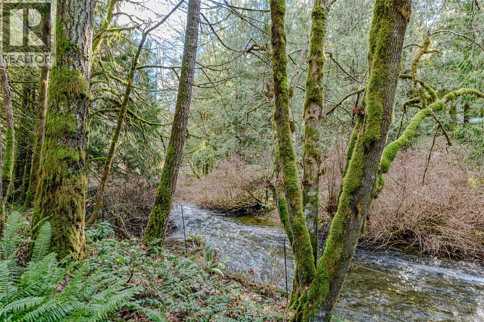 1753 Peerless Rd, Shawnigan Lake, British Columbia  V0R 1L0 - Photo 33 - 1025966