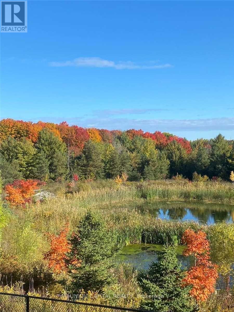 707 Clifford Perry Place, Newmarket, Ontario L3X 0J4 - Photo 28 - N12937974