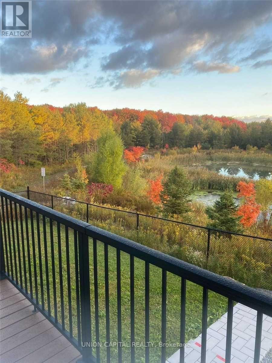 707 Clifford Perry Place, Newmarket, Ontario L3X 0J4 - Photo 29 - N12937974