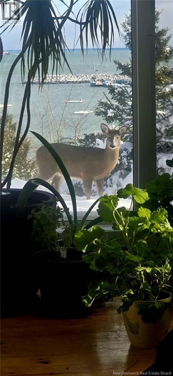 549 Main Street, Beaver Harbour, New Brunswick  E5H 1M6 - Photo 7 - NB135348