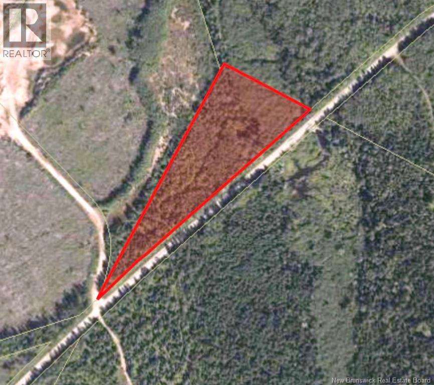 Lot Highway 890, Cornhill, New Brunswick E4G 2N3 - Photo 2 - NB136035