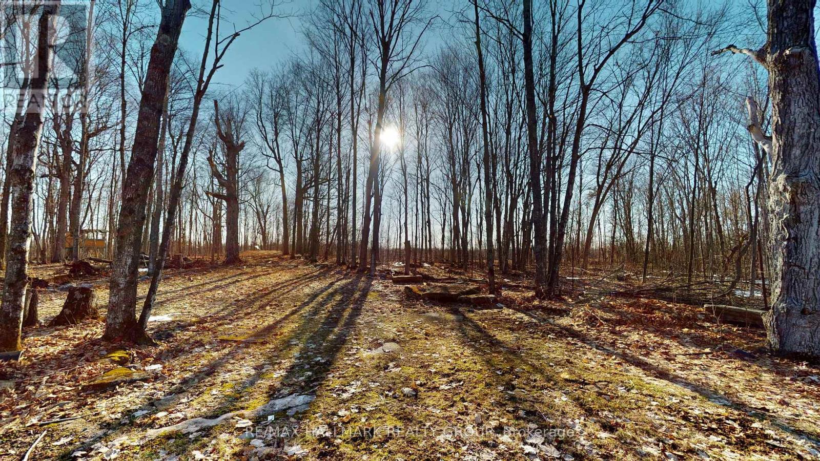 16 Cole Road, Elizabethtown-Kitley, Ontario  K0G 1R0 - Photo 36 - X12938064