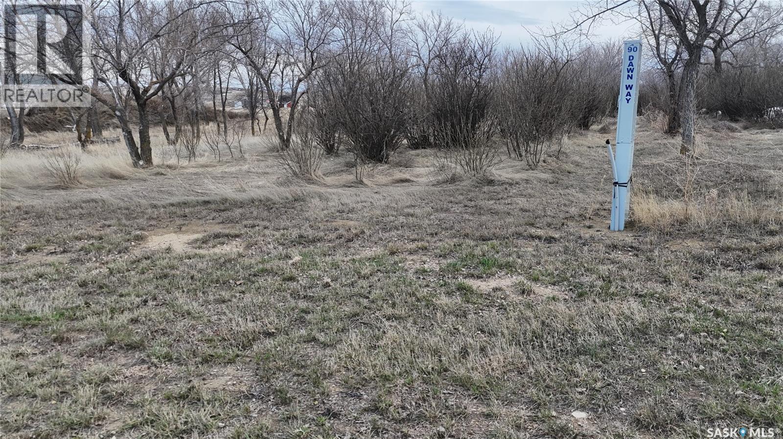 90 Dawn Way, Coteau Rm No. 255, Saskatchewan  S0H 1E0 - Photo 6 - SK031686