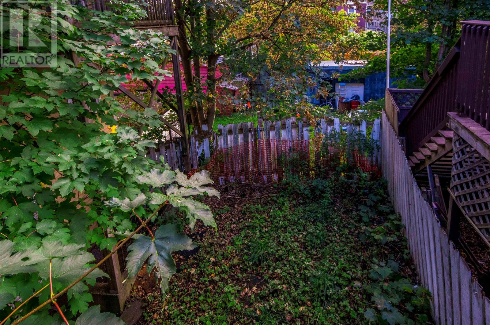 5 Balsam Street, St John's, Newfoundland & Labrador  A1C 4B6 - Photo 13 - 1295697