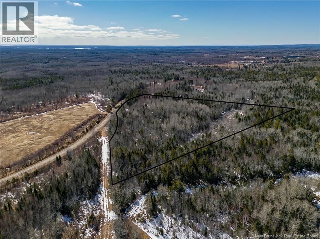 Lot 02-5 Renauds Mills Road, Saint-Antoine, New Brunswick  E4V 2X7 - Photo 1 - NB135747