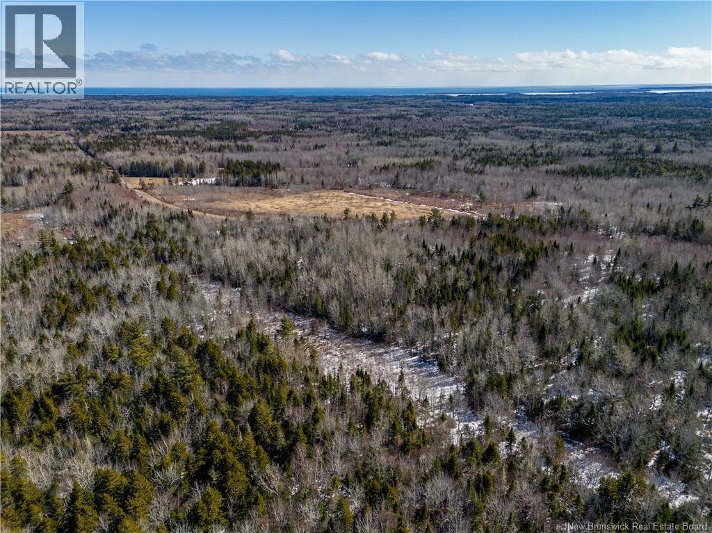 Lot 02-5 Renauds Mills Road, Saint-Antoine, New Brunswick  E4V 2X7 - Photo 11 - NB135747