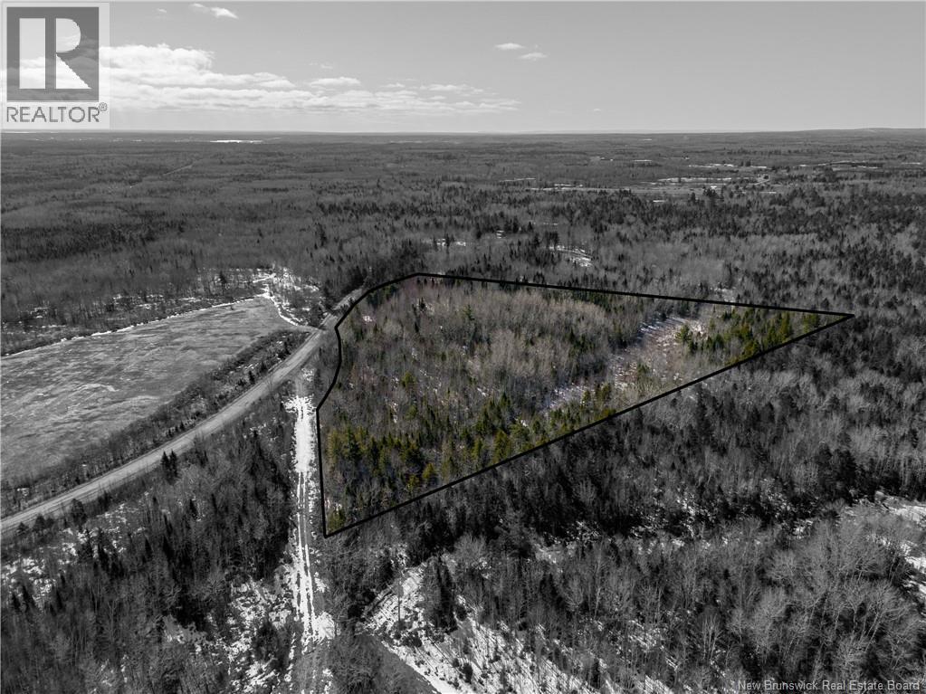Lot 02-5 Renauds Mills Road, Saint-Antoine, New Brunswick  E4V 2X7 - Photo 4 - NB135747