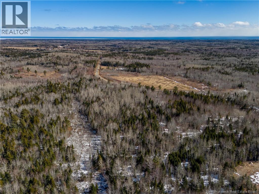 Lot 02-5 Renauds Mills Road, Saint-Antoine, New Brunswick  E4V 2X7 - Photo 9 - NB135747