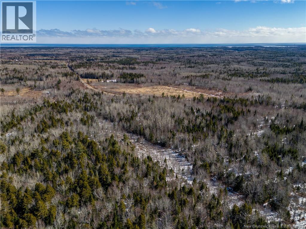 Lot 02-5 Renauds Mills Road, Saint-Antoine, New Brunswick  E4V 2X7 - Photo 7 - NB135747
