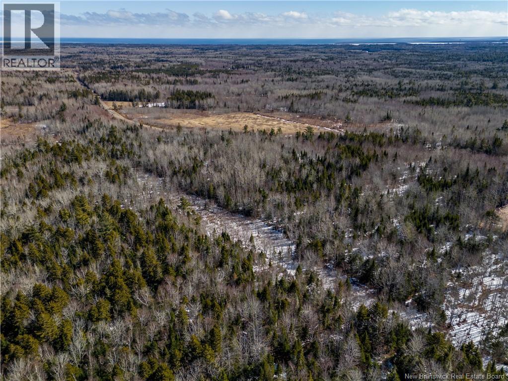 Lot 02-5 Renauds Mills Road, Saint-Antoine, New Brunswick  E4V 2X7 - Photo 8 - NB135747