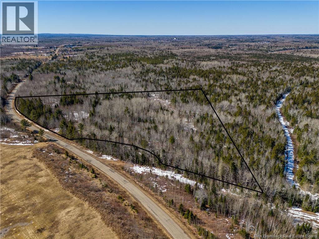Lot 02-5 Renauds Mills Road, Saint-Antoine, New Brunswick  E4V 2X7 - Photo 27 - NB135747