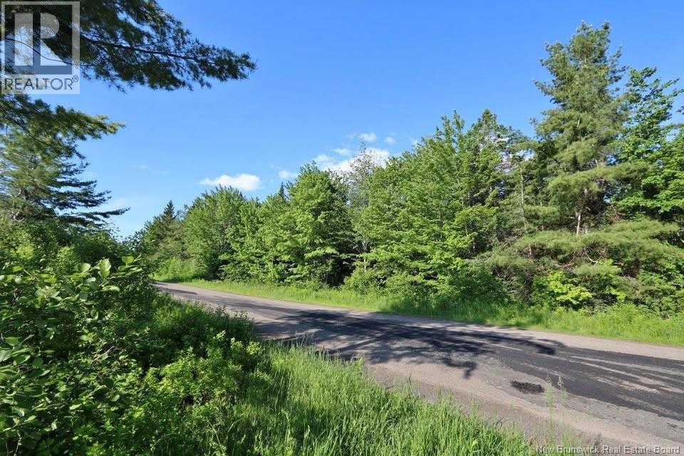 Lot 02-5 Renauds Mills Road, Saint-Antoine, New Brunswick  E4V 2X7 - Photo 30 - NB135747