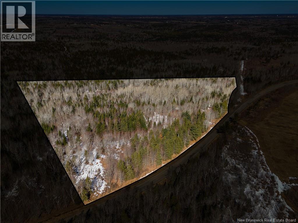 Lot 02-5 Renauds Mills Road, Saint-Antoine, New Brunswick  E4V 2X7 - Photo 14 - NB135747