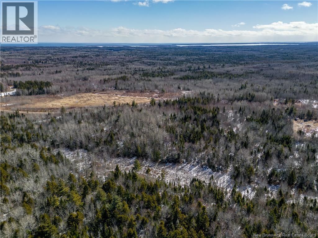 Lot 02-5 Renauds Mills Road, Saint-Antoine, New Brunswick  E4V 2X7 - Photo 6 - NB135747