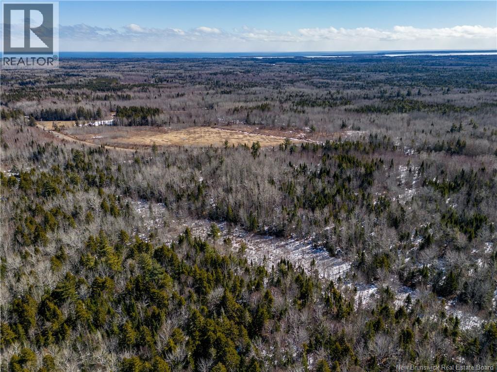 Lot 02-5 Renauds Mills Road, Saint-Antoine, New Brunswick  E4V 2X7 - Photo 12 - NB135747