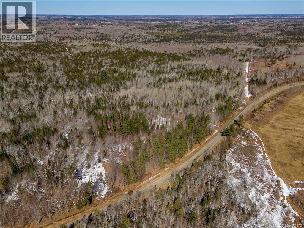 Lot 02-5 Renauds Mills Road, Saint-Antoine, New Brunswick  E4V 2X7 - Photo 17 - NB135747