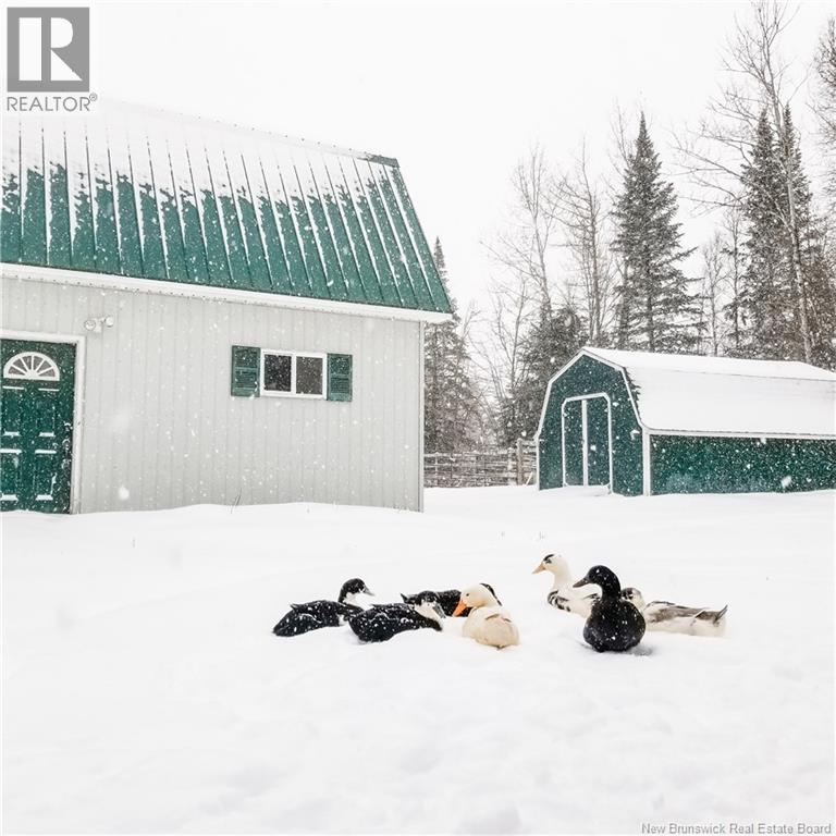 18 Balsam Drive, Rusagonis, New Brunswick  E3B 8G9 - Photo 48 - NB136190