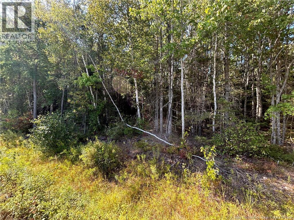 Lot 26-1 Upper Midland Road, Norton, New Brunswick  E5T 1Z8 - Photo 1 - NB136155