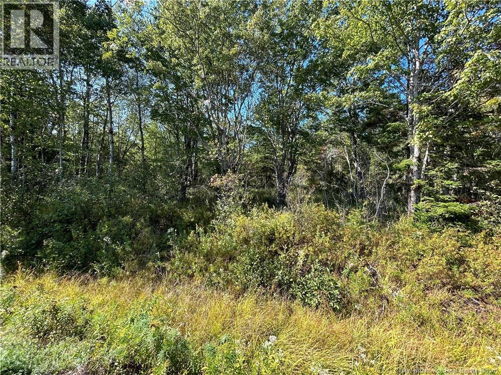 Lot 26-1 Upper Midland Road, Norton, New Brunswick  E5T 1Z8 - Photo 4 - NB136155