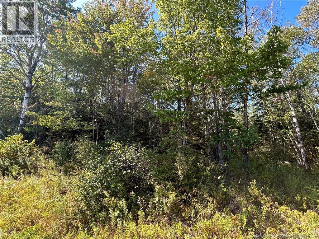 Lot 26-1 Upper Midland Road, Norton, New Brunswick  E5T 1Z8 - Photo 9 - NB136155