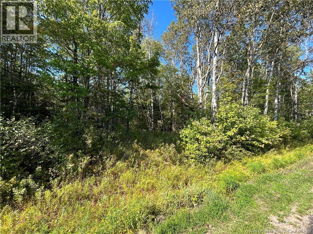 Lot 26-3 Upper Midland Road, Norton, New Brunswick  E5T 1Z8 - Photo 10 - NB136119