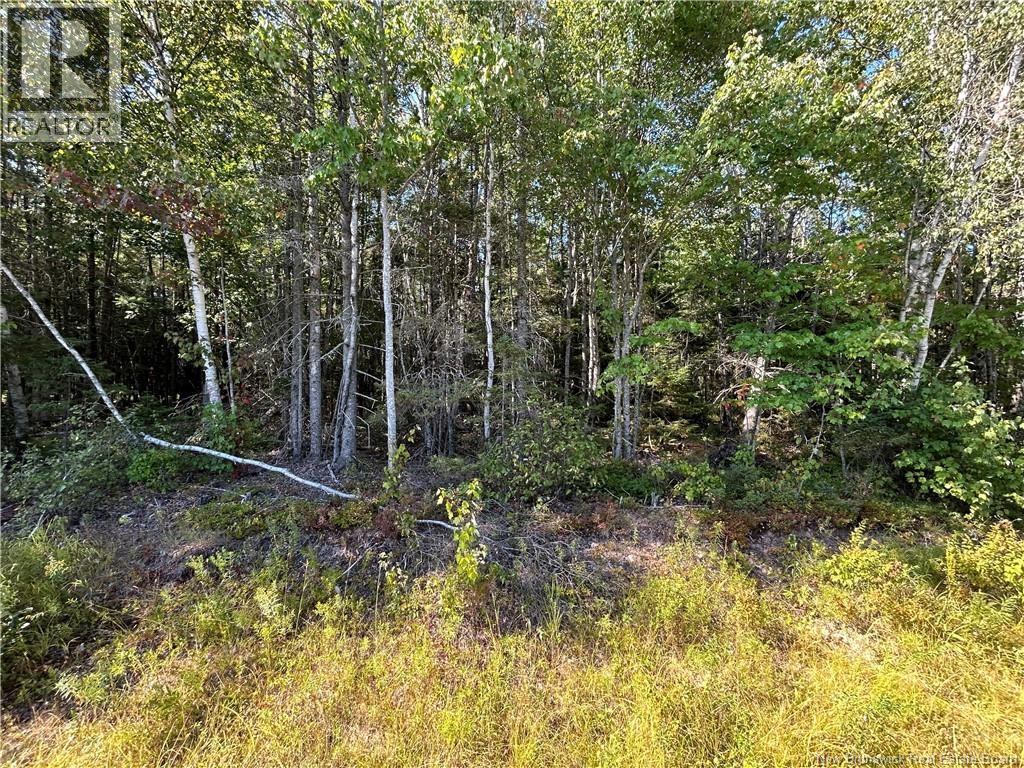 Lot 26-3 Upper Midland Road, Norton, New Brunswick  E5T 1Z8 - Photo 2 - NB136119