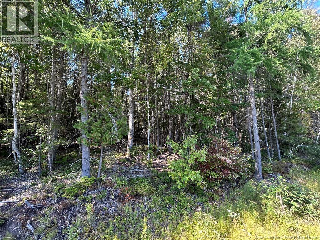 Lot 26-3 Upper Midland Road, Norton, New Brunswick  E5T 1Z8 - Photo 7 - NB136119