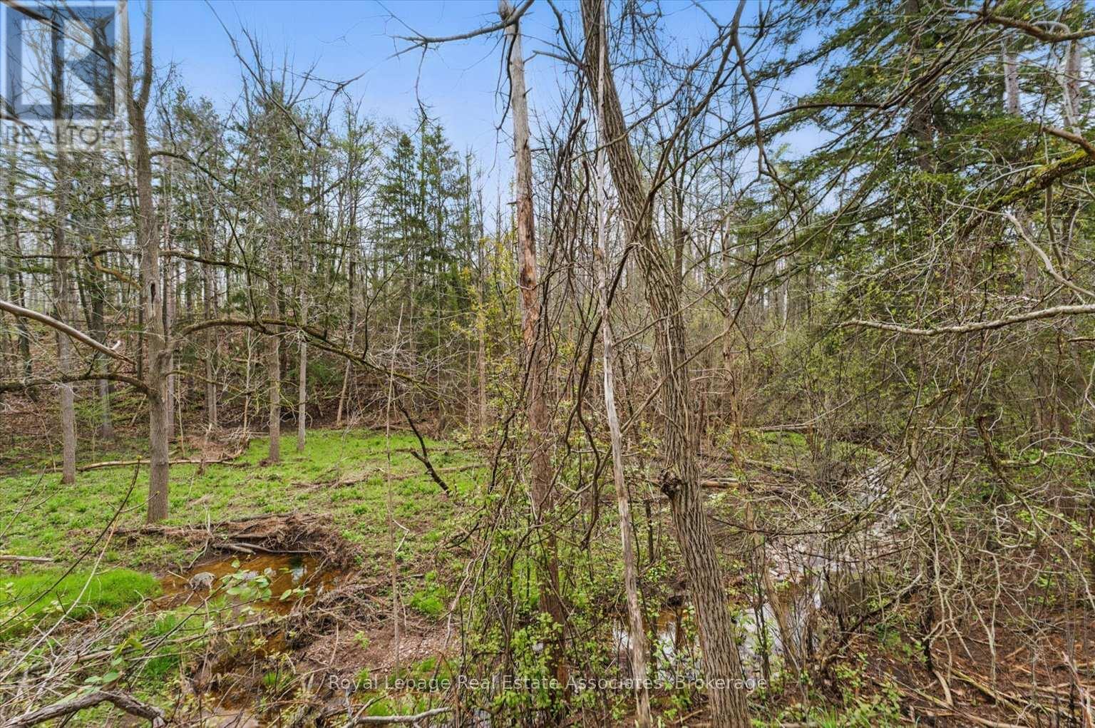 10475a Winston Churchill Boulevard, Brampton, Ontario  L7A 0A4 - Photo 12 - W12938450