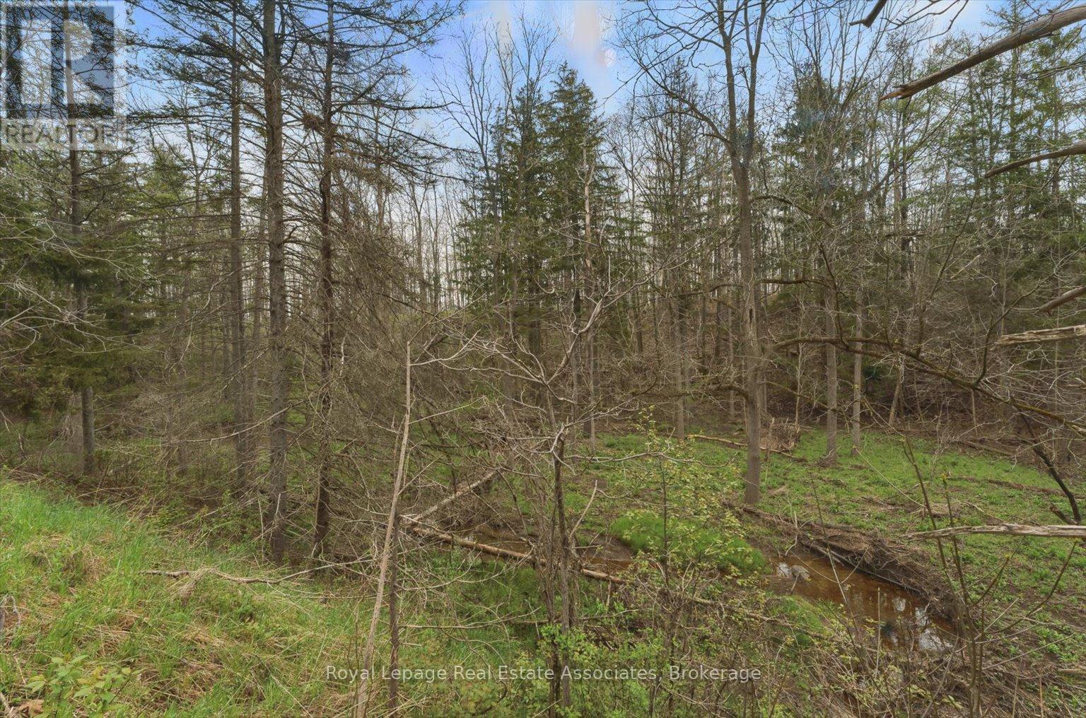 10475a Winston Churchill Boulevard, Brampton, Ontario  L7A 0A4 - Photo 13 - W12938450