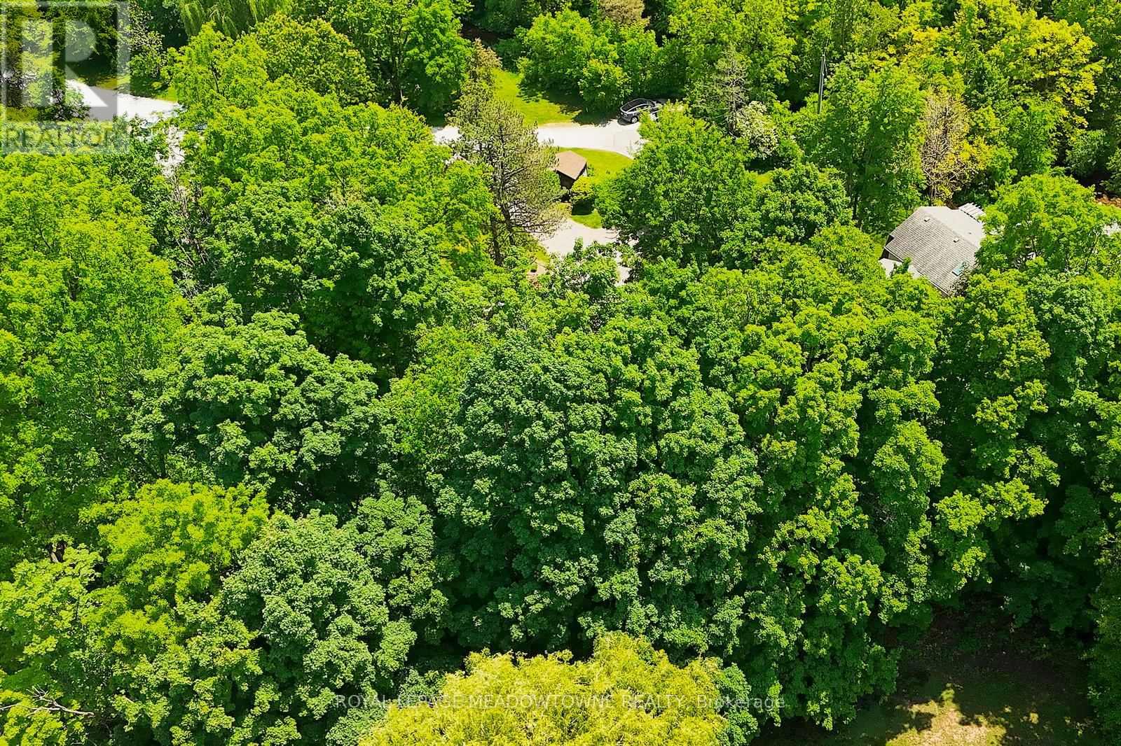 4 Ann Street, Halton Hills, Ontario  L7G 2V2 - Photo 48 - W12938610