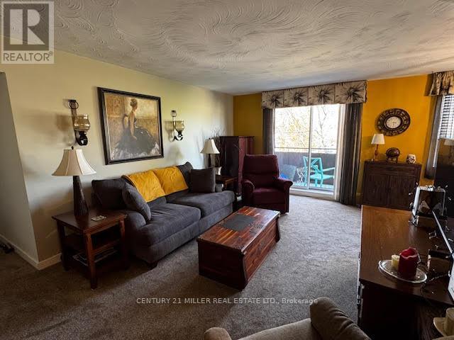 204 - 485 Thorold Road, Welland, Ontario  L3C 3X1 - Photo 17 - X12938766