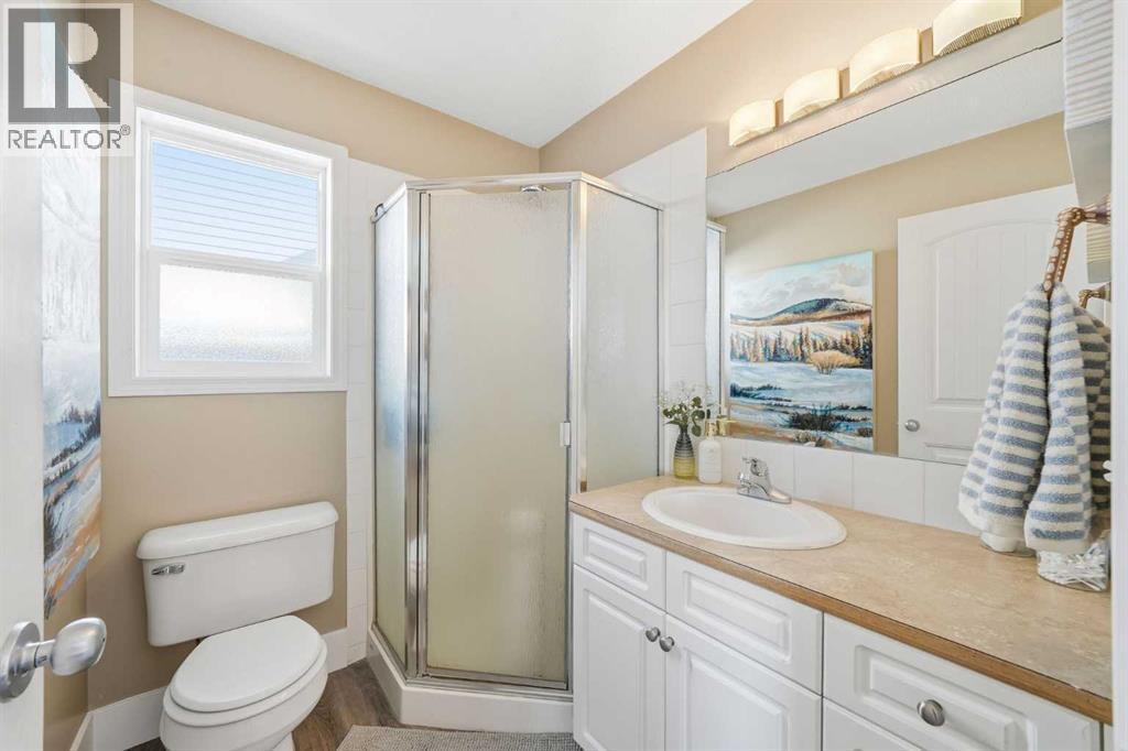 534 Hillview Gate, Strathmore, Alberta  T1P 1Z6 - Photo 16 - A2296088