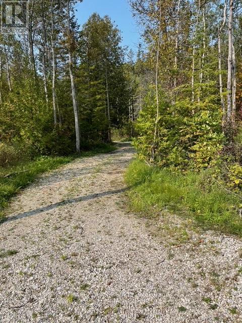 6 Henwood Street, Northern Bruce Peninsula, Ontario  N0H 2M0 - Photo 3 - X12931708