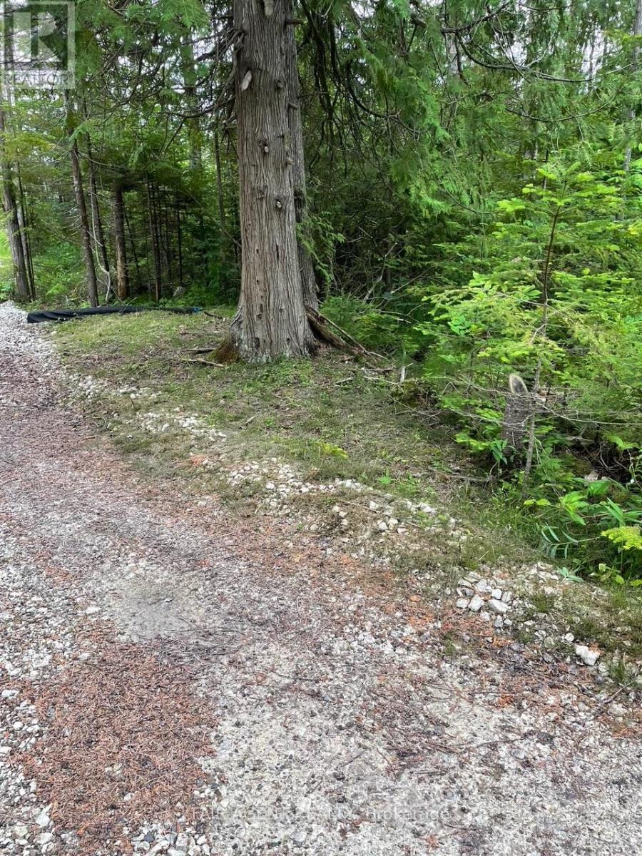 6 Henwood Street, Northern Bruce Peninsula, Ontario  N0H 2M0 - Photo 8 - X12931708