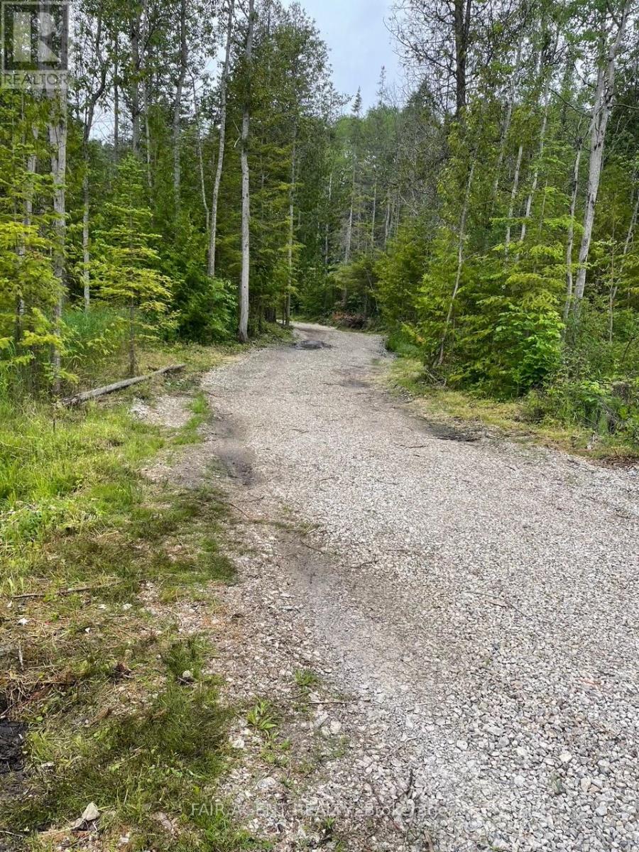 6 Henwood Street, Northern Bruce Peninsula, Ontario  N0H 2M0 - Photo 7 - X12931708