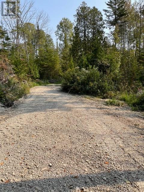 6 Henwood Street, Northern Bruce Peninsula, Ontario  N0H 2M0 - Photo 6 - X12931708