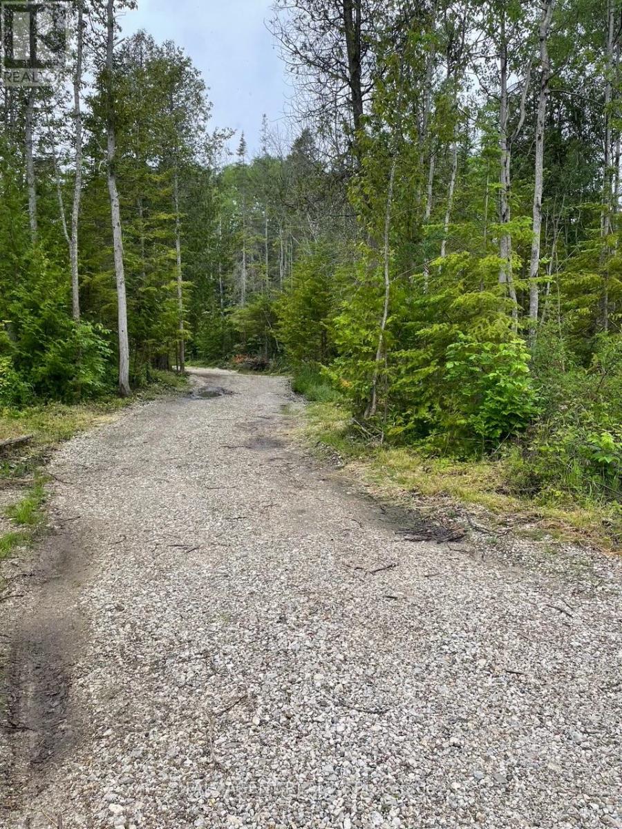 6 Henwood Street, Northern Bruce Peninsula, Ontario  N0H 2M0 - Photo 4 - X12931708