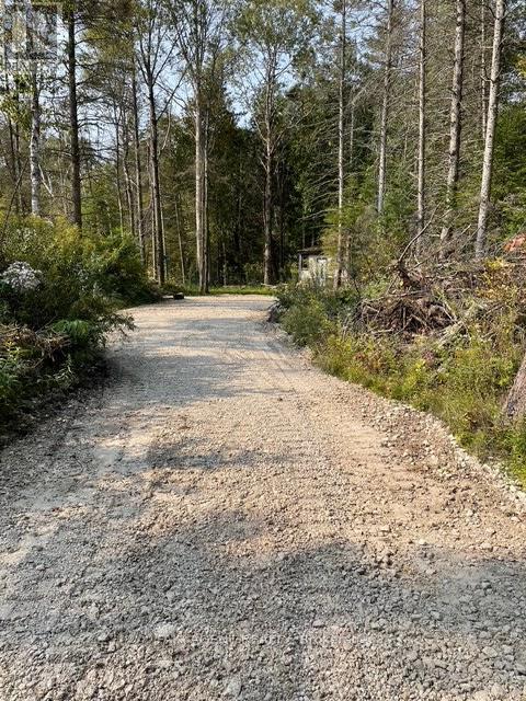 6 Henwood Street, Northern Bruce Peninsula, Ontario  N0H 2M0 - Photo 5 - X12931708