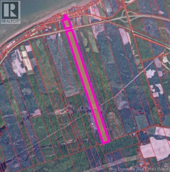 255 Route 134, Dalhousie Junction, New Brunswick  E3N 5Z9 - Photo 5 - NB136200