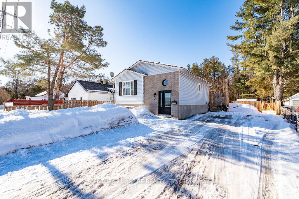 45 Brumm Road, Petawawa, Ontario  K8A 7G6 - Photo 4 - X12938874