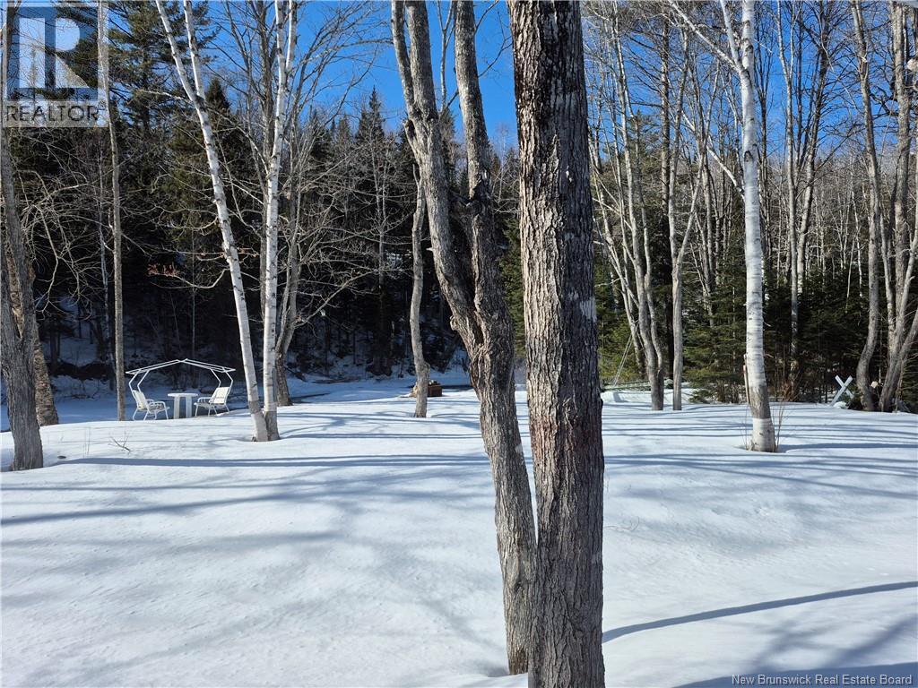 86 Rue De La Source, Nigadoo, New Brunswick E8K 3V8 - Photo 15 - NB135056