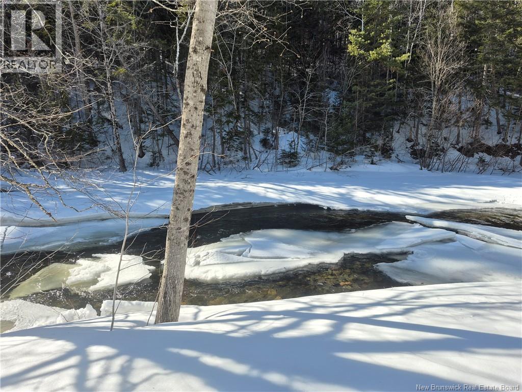 86 Rue De La Source, Nigadoo, New Brunswick E8K 3V8 - Photo 3 - NB135056