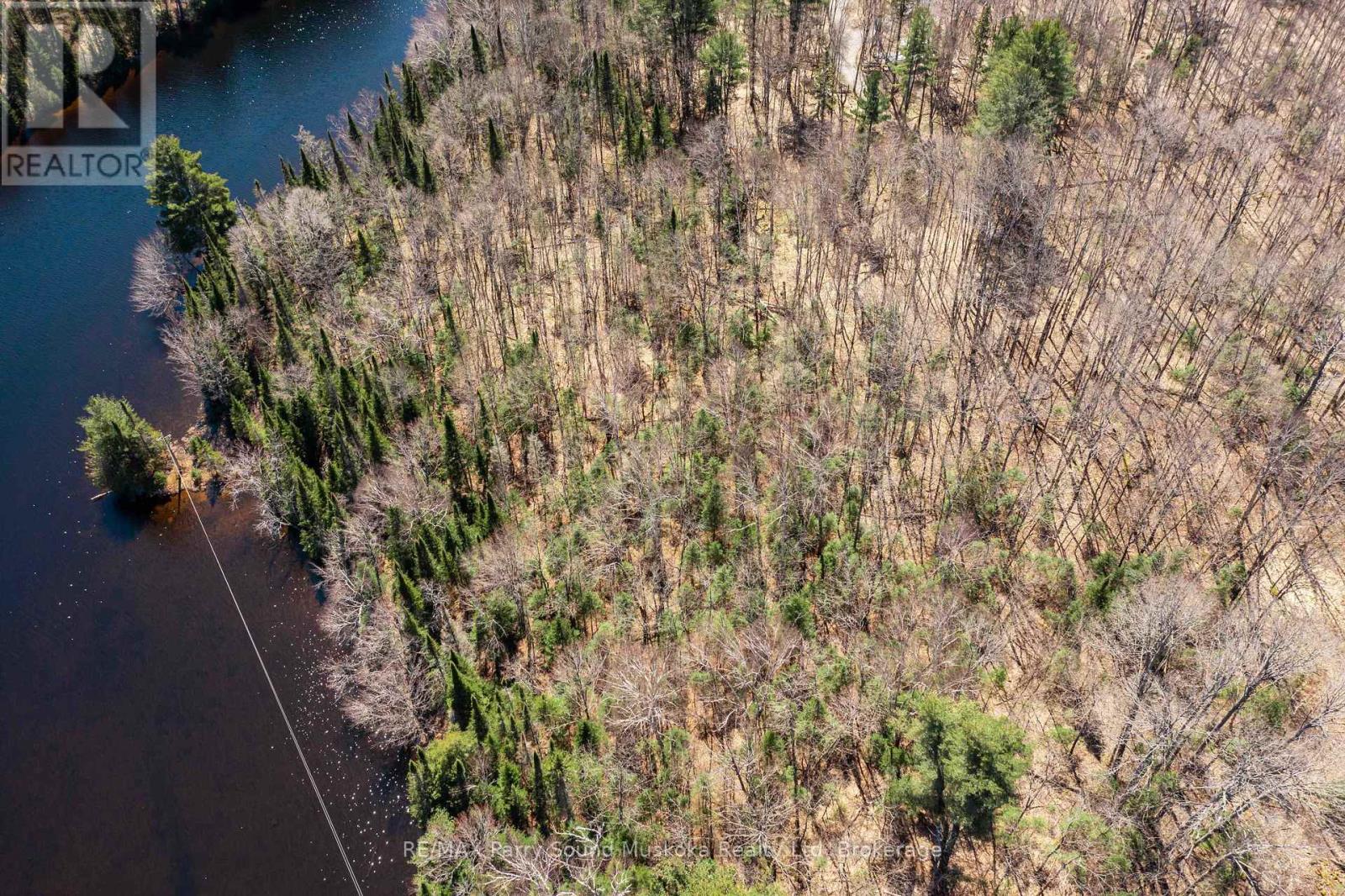 00 Rocky Reef Road, Magnetawan, Ontario  P0A 1C0 - Photo 4 - X12894844