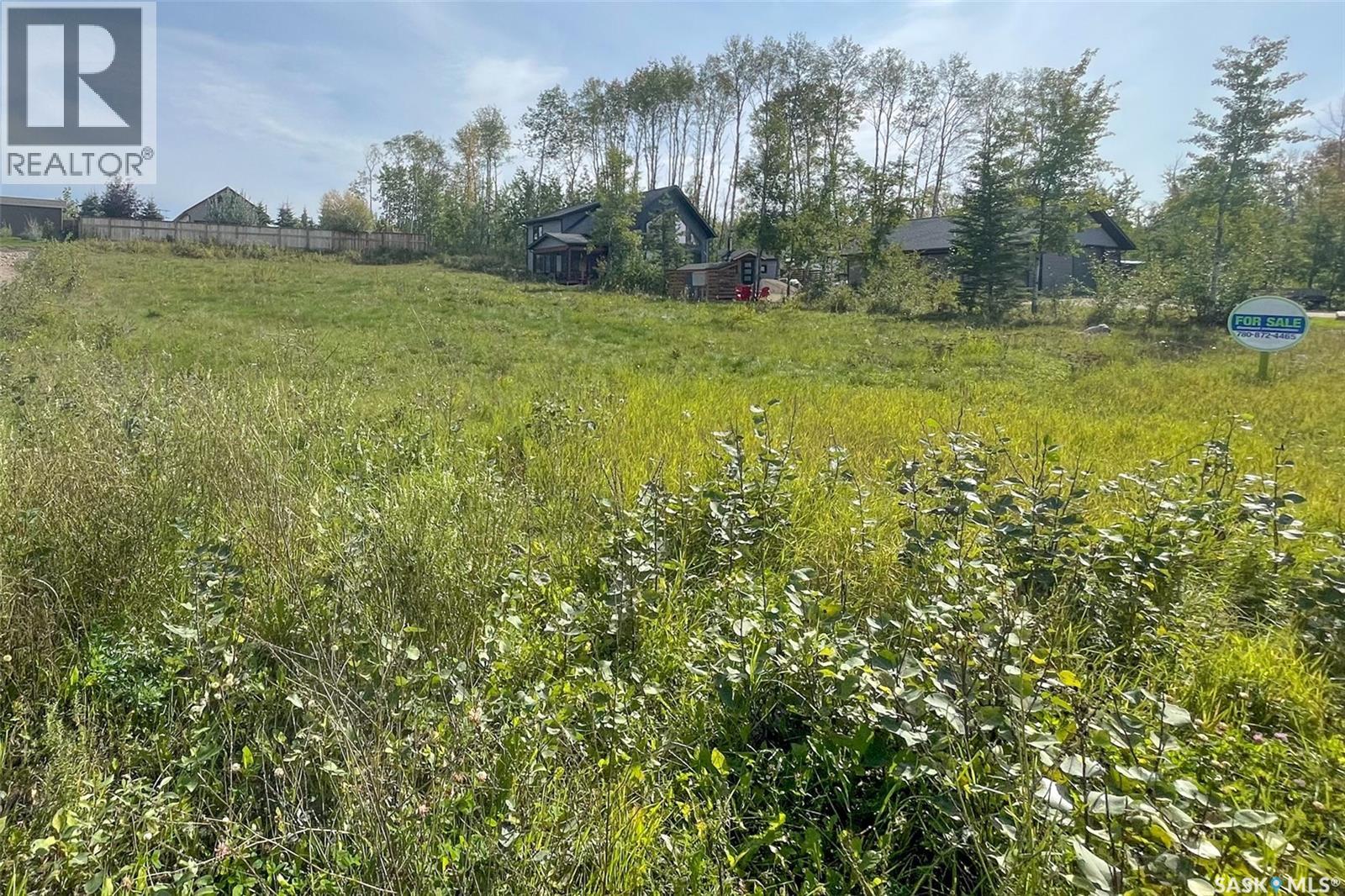 542 Larch Street, Beaver River Rm No. 622, Saskatchewan  S0M 1A0 - Photo 21 - SK031675