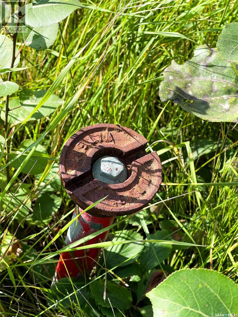 542 Larch Street, Beaver River Rm No. 622, Saskatchewan  S0M 1A0 - Photo 27 - SK031675